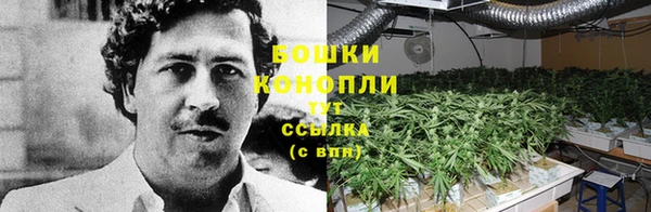 гидра Алексеевка