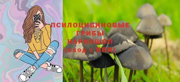 героин Алзамай