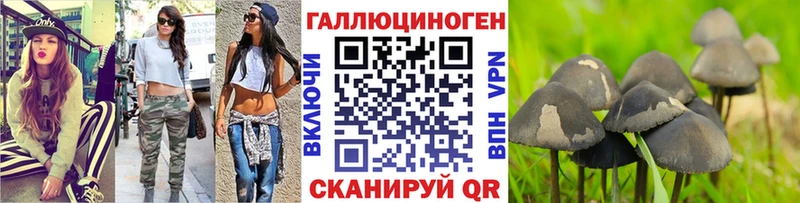 Галлюциногенные грибы Psilocybine cubensis  Купить закладки  Комсомольск-на-Амуре 