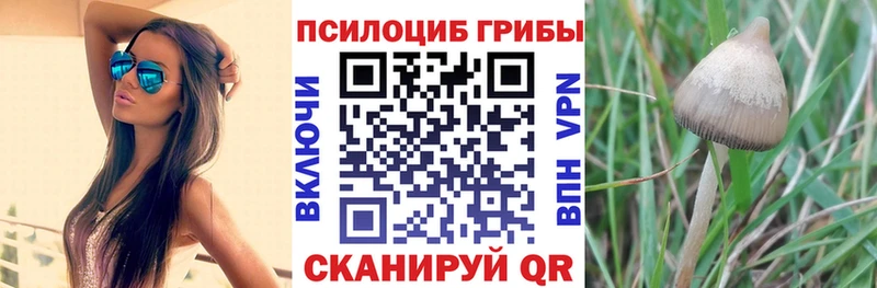 Галлюциногенные грибы ЛСД Комсомольск-на-Амуре